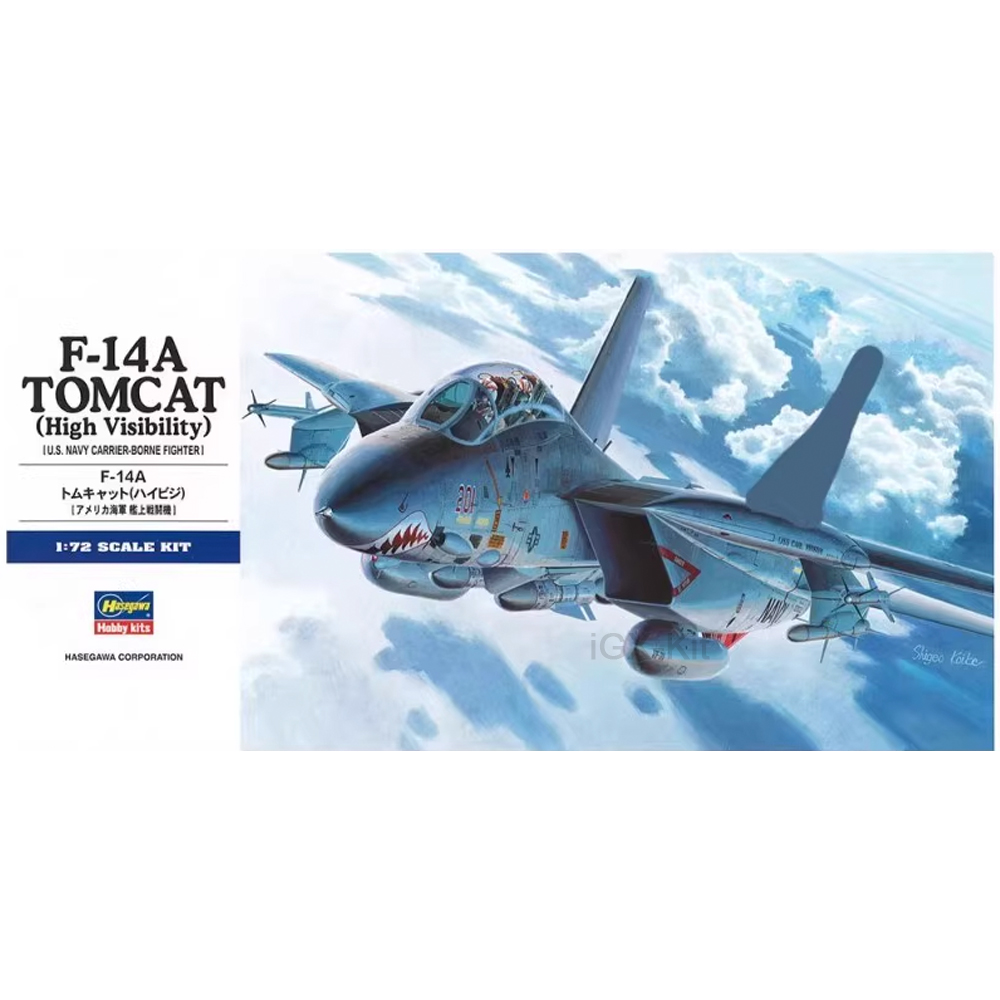 Model Kit Hasegawa - Hasegawa 00533 1:72 Scale US F14